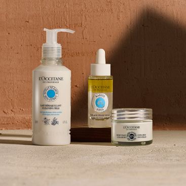 Ultra Rich Comforting Shea Face Cream 50ml | L'Occitane